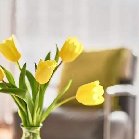 Haus Dr Muxel Lech am Arlberg